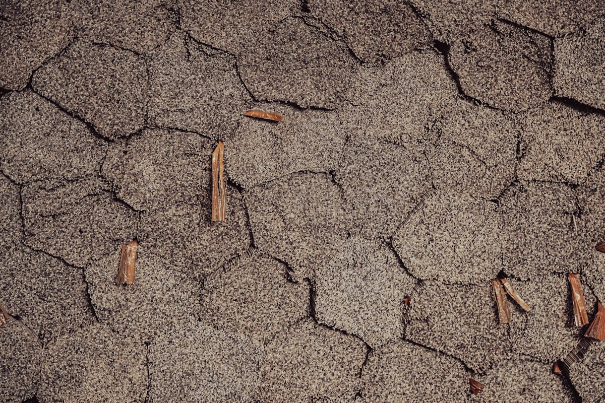 Close-up of worn asphalt shingles with surface debris